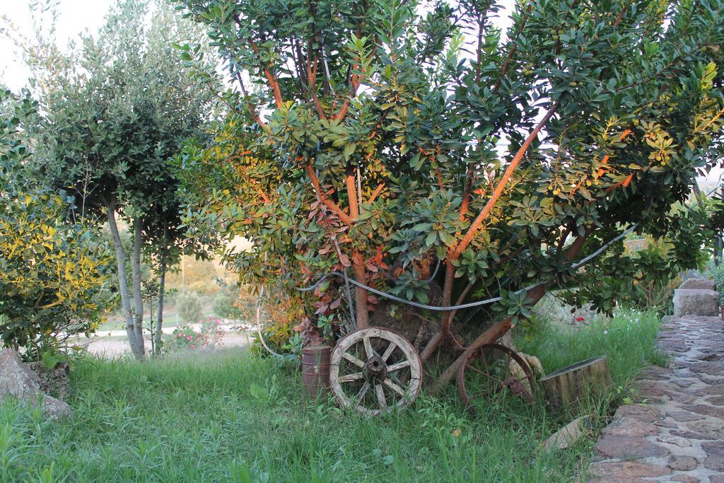 Agriturismo Su Recreu Ittiri Екстер'єр фото
