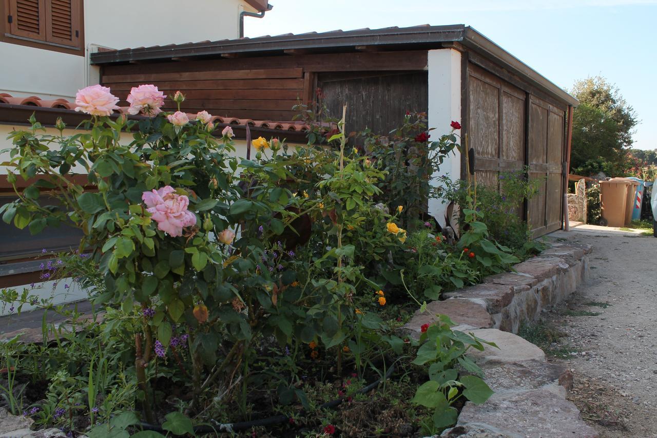 Agriturismo Su Recreu Ittiri Екстер'єр фото