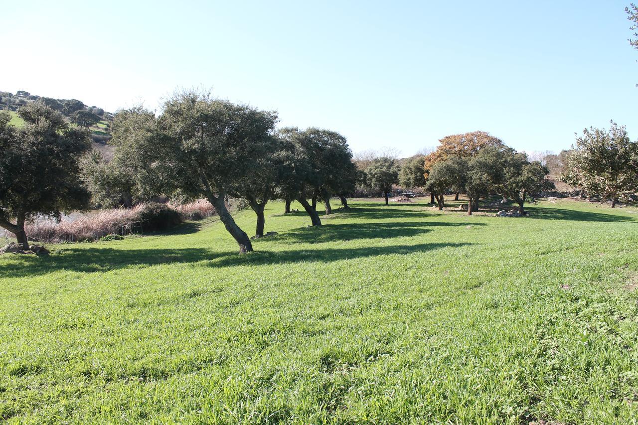 Agriturismo Su Recreu Ittiri Екстер'єр фото
